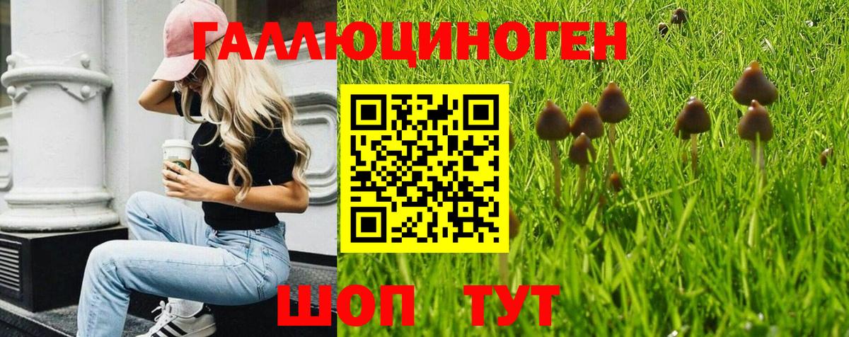 Воркута  Галлюциногенные грибы мицелий  Псилоцибиновые грибы прущие грибы  Вход с VPN 